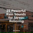 Yoga Rain, Oasis of Meditation, Ready Baby Music!
