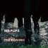 MR FLIPZ