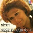 Neşe Karaböcek