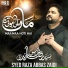 Syed Raza Abbas Zaidi