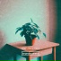 cafey, Brunch Collect