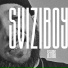 SVIZIBOY