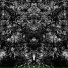 Susurration