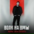 ВОЛК на BMW