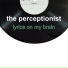 The Perceptionist