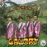 Galory