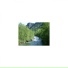 Mindfulness Healing BGM Project