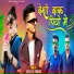 Parsha D Pawara