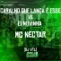Mc Nectar, Dj VTL