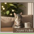 Gatto Miao