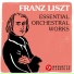 Nürnberg Symphony Orchestra, Hanspeter Gmür