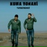 Koma Ronahi