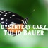 Tulio Bauer