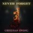 Obsidian Swing