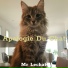 Mr Lechat