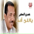 Hassan ElSagher