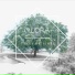 Elora