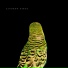 Andrew Bird