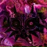 DemonCat feat. Jkei, vorni