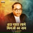 Subhash Nikam