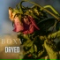BOXV