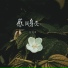 張沛沛