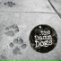 The Damn Dogs