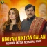 Mehboob Akhtar, Meerab Ali Khan