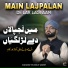 Saddam Hussain Qadri