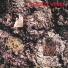 the icicle works