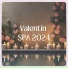 Apasionado Valentín