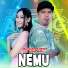 Fira Azahra, Brodin feat. Ageng Music