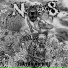 Nekrotikos