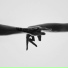 Wooden Wand & The Vanishing Voice