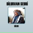Bilurvan Sebri