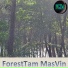 masvin