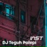 DJ Teguh Palepi