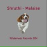 Shruthi