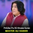 Master Ali Haider