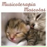 Musicoterapia