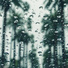 Raindrops Sleep, Deep Sleep FX, Anxiety Relief