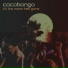 Cocobongo