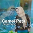 Camel Petir