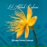 Groupe Anwar Dawsan