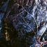 CA2