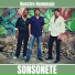 Sonsonete