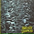 ARKADY SHAPKIN