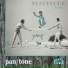 Pan Tone