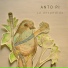 Anto Pi