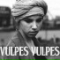 Vulpes Vulpes